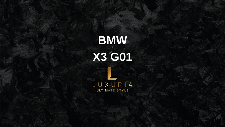 Originale Rückfahrkamera für BMW X3 G01 inkl. Einbau (Nachrüstung)