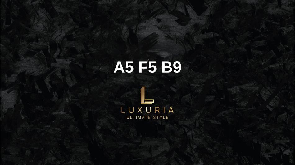 Originale Rückfahrkamera für Audi A5 F5 B9 inkl. Einbau (Nachrüstung)