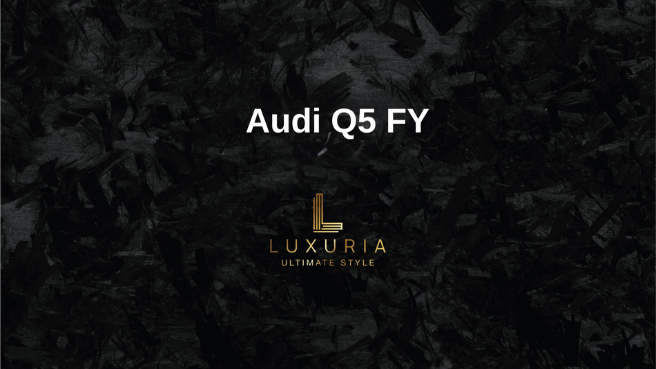 Originale Rückfahrkamera für Audi Q5 FY inkl. Einbau (Nachrüstung)