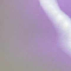 K-144 Pearl White to Purple