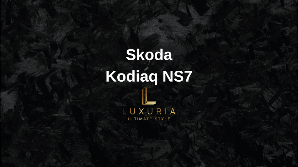 Originale Rückfahrkamera für Skoda Kodiaq NS7 inkl. Einbau (Nachrüstung)