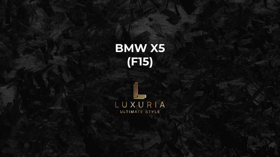 Ambientebeleuchtung für BMW X5 (F15) inkl. Einbau (Nachrüstung)